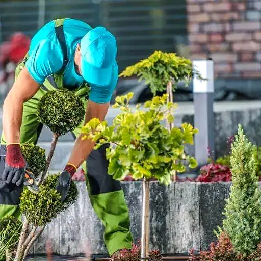 Otel Bahçe Bakımı