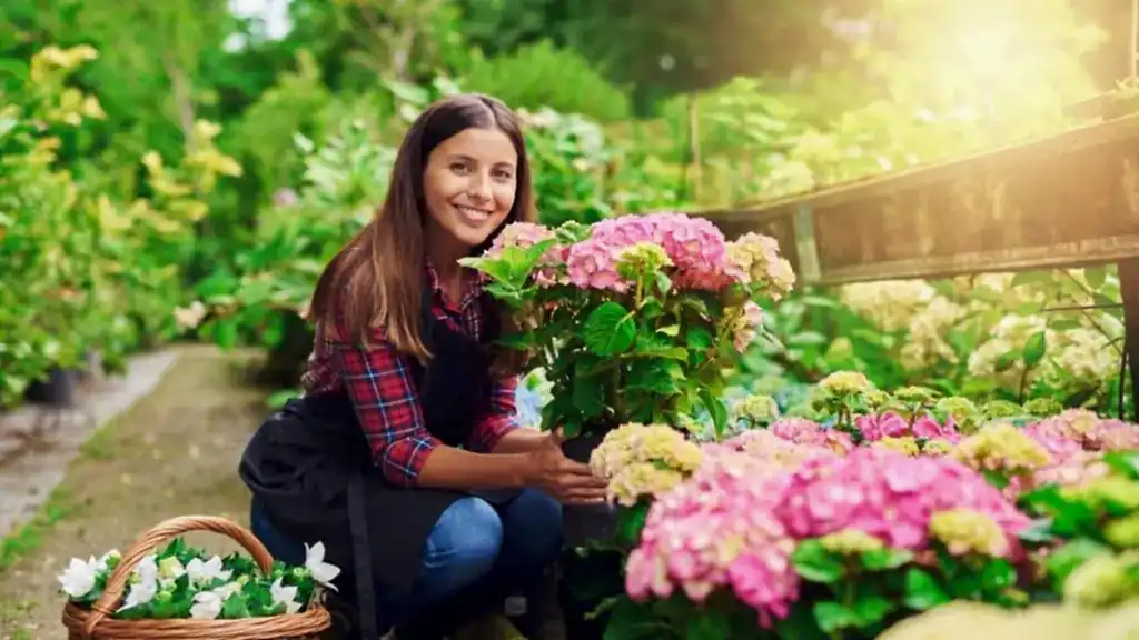 Otel Bitki Danışmanlığı