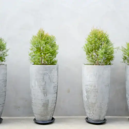 Beton Saksı Üretimi