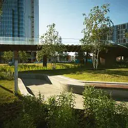 Maxpey Peyzaj Ve Tasarım